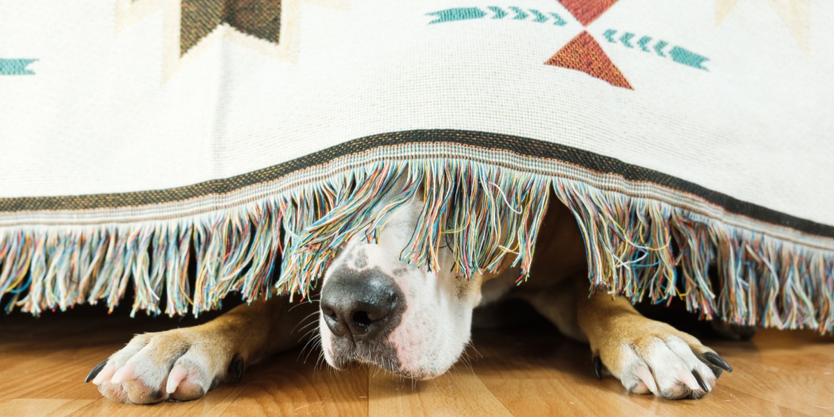 Hoe zorg je voor sociale veiligheid binnen je bedrijf?